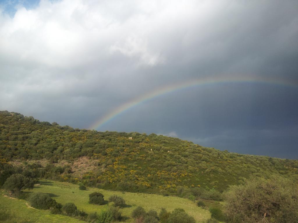 Agriturismo Sa Mandria Villa Castiadas Eksteriør billede